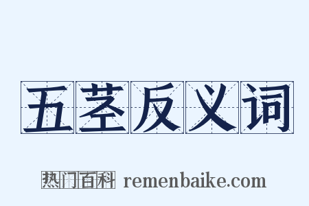 五茎反义词是什么意思的图片